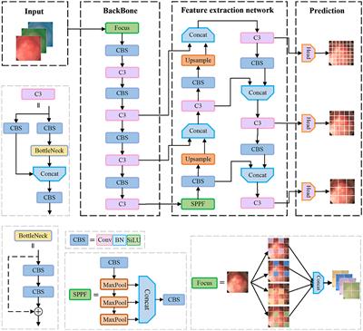 Colorectal image analysis for polyp diagnosis